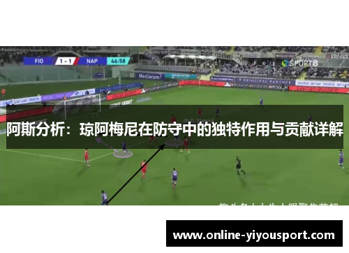 阿斯分析：琼阿梅尼在防守中的独特作用与贡献详解