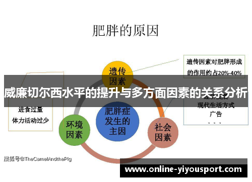 威廉切尔西水平的提升与多方面因素的关系分析